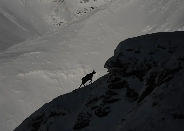 Apartament Appartementhaus Angerer - Feriendomizile Pichler Heiligenblut